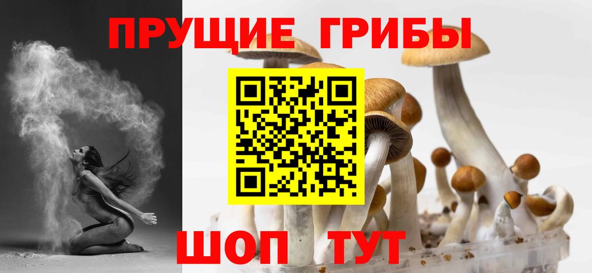 купить  сайты  Вход с VPN  Калач-на-Дону  Галлюциногенные грибы прущие грибы  Псилоцибиновые грибы мицелий 